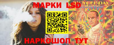 гидра Будённовск