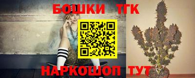 гидра Будённовск