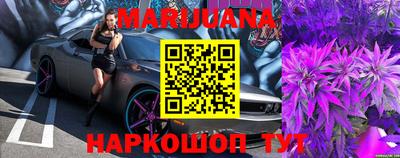 гидра Будённовск