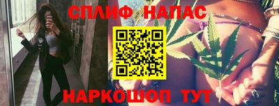 гидра Будённовск
